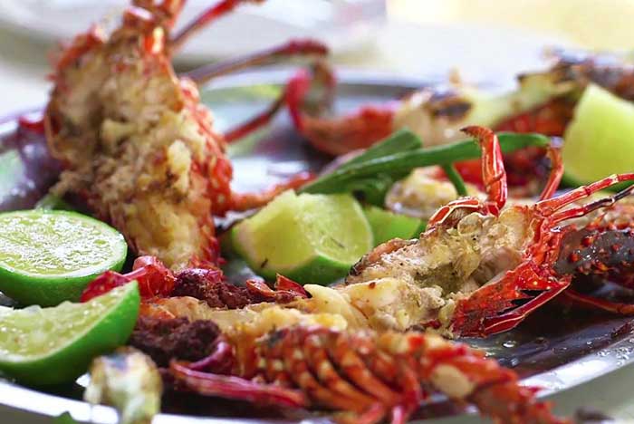 VIAJE CULINARIO